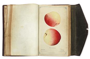 (BOTANICAL.) Dewey, D. M. The Nurserymens Pocket Specimen Book, Colored from Nature.